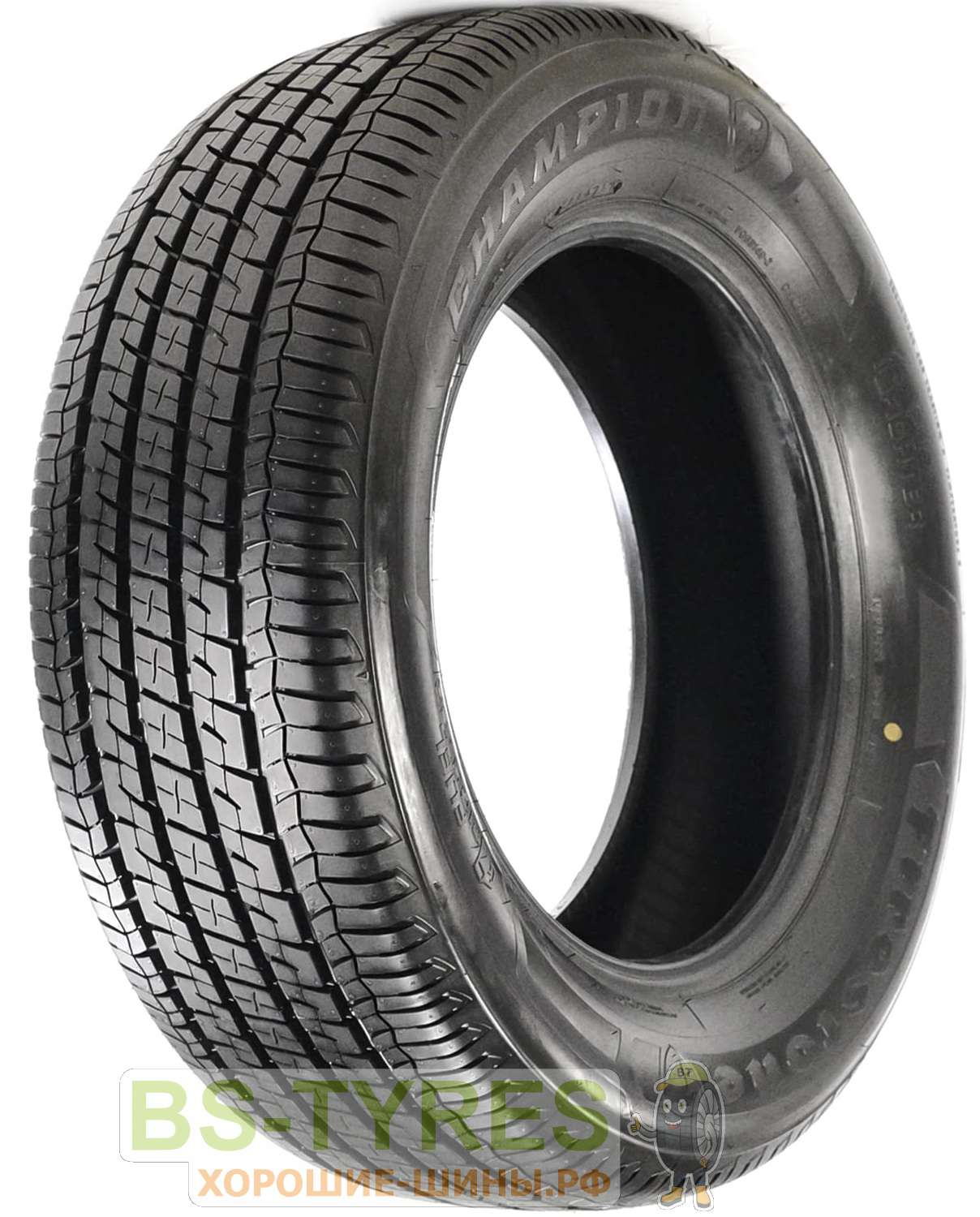 Champion Fuel Fighter