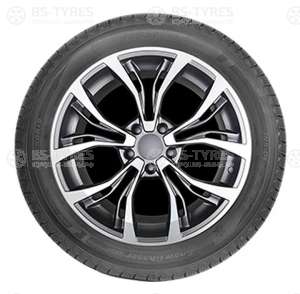 Autogreen Snow Chaser AW02 275/50 R20 113T