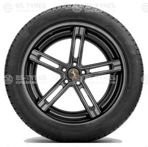 Continental ContiWinterContact TS830P 265/35 R19 98V (2018)