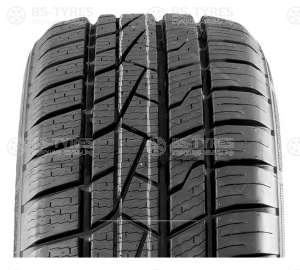Delinte AW5 175/70 R14 88T