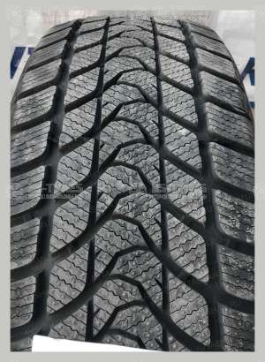 Delinte Winter WD1 205/55 R16 91H