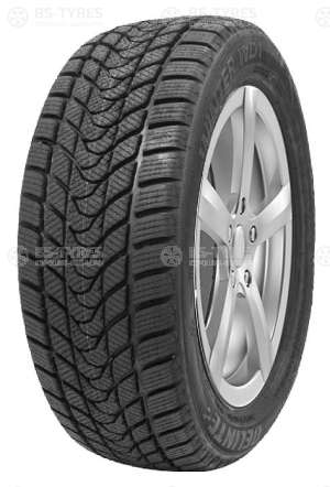 Delinte Winter WD1 205/55 R16 91H