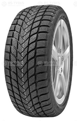 Delinte Winter WD6 175/65 R15 84T