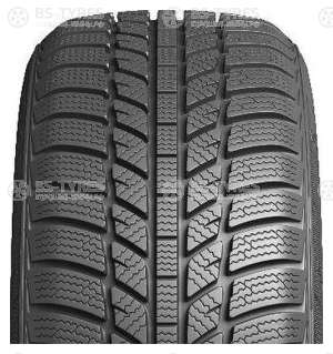 Evergreen Winter EW62 185/65 R14 86T