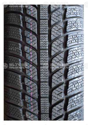 Evergreen Winter EW62 185/65 R14 86T