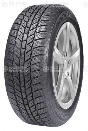 Evergreen Winter EW62 185/65 R14 86T
