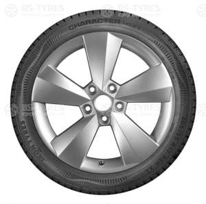 Ikon (Nokian Tyres) Character Snow 2 (Nordman RS2) SUV 245/50 R18 104T