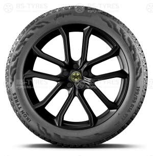 Ikon (Nokian Tyres) Autograph Snow 5 SUV 215/55 R18 99R
