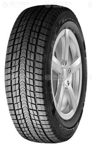 Roadstone Winguard Ice 205/70 R15 96Q