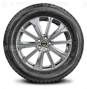Roadx Frost WH12 225/70 R16 103H