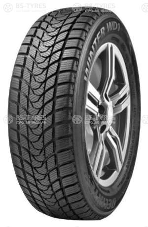 Delinte Winter WD1 205/55 R16 91H